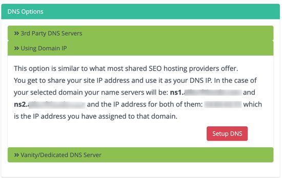 serwer DNS vanity – ten sam adres IP