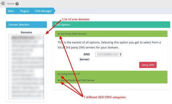 Smart SEO DNS Manager - Główny interfejs