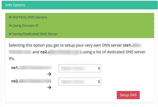 serwer vanity DNS - dedykowany adres IP